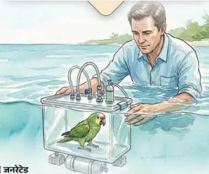 ଶୁଆର ସମୁଦ୍ର ବୁଲା