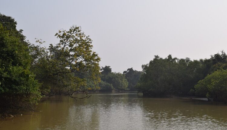 କଙ୍କଡା ଧରିବାକୁ ଯାଇ ମା'ପୁଅ ନିଖୋଜ